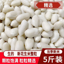 ɽ�|��؛ÓƤ�����������lȥƤ�����ʰ�ɳ�������׺決�����uԭ��