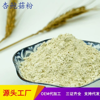 源头工厂生产现货 杏鲍菇熟粉 可食用烘干原粉 量大优惠1斤起批发