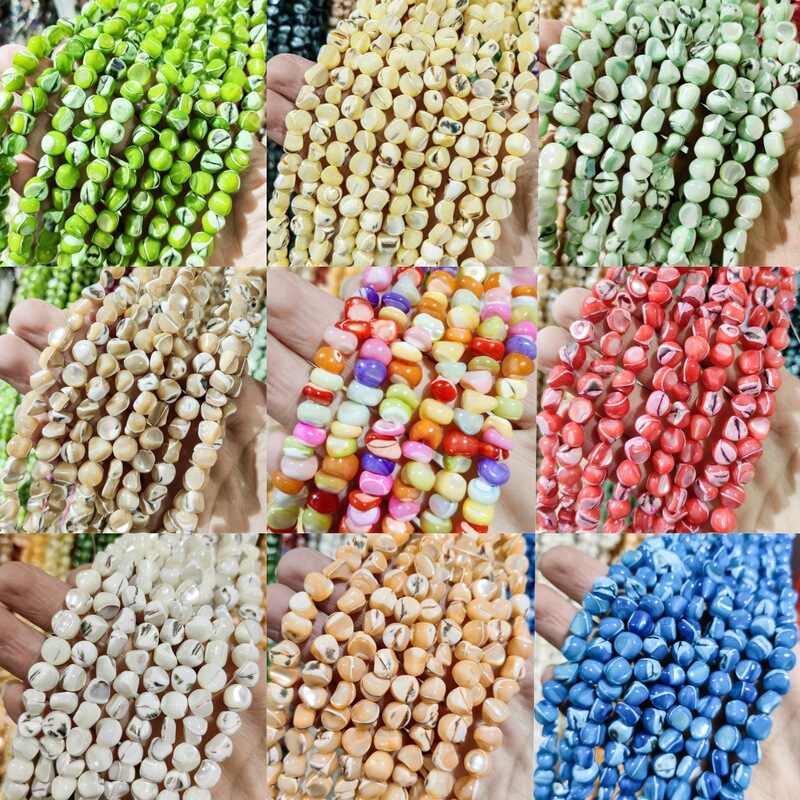 Natural Shell Horseshoe Snail 8mm Multicolor Unshaped Loose Beads Semi-finished diy Shell Jewelry Accessories