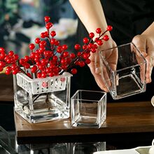 方缸簡約正方形水培綠植銅錢花盆白掌綠蘿水養玻璃透明花瓶擺件