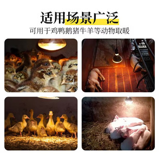 Insulated Bulb Thickened Waterproof Explosion-Proof Infrared Breeding Heating Lamp Piglet Warming Lamp