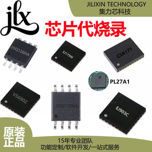 оƬ����� �NƬIC/MCU/FLASH ���͟��� ����r�� �����_�l