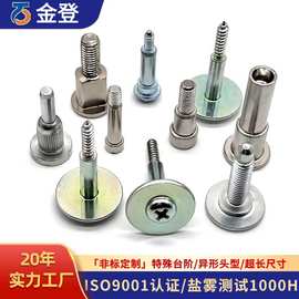 源头工厂台阶螺丝 十字介子平头12.9级自攻限位防松设备台阶螺栓