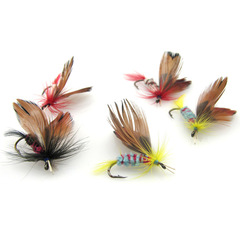 Bass Bug 12-Piece Pack Surface Lure Artificial Fishing Bait Realistic Mullet and Perch Floating Lure Taobao