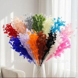 ��ë�������F�z����̨������Ʒ�^l�A���ñ����ɫ���x�F؛DIY