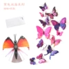 H-003 double-magnet with glue-purple