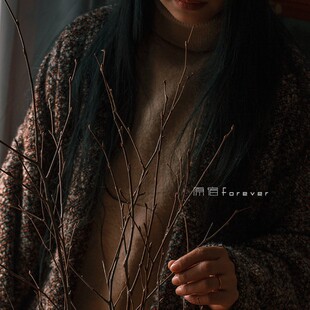 ��Ȼ�ɘ�֦��ʽ�͹�ɭϵ�b�֦�ɻ�����廨��֦���ޔ[�����֦