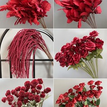 ��c��Y��ˇ�tɫ���ı����b廨õ���ȼ������҃ȿ͏d�[�O�t��