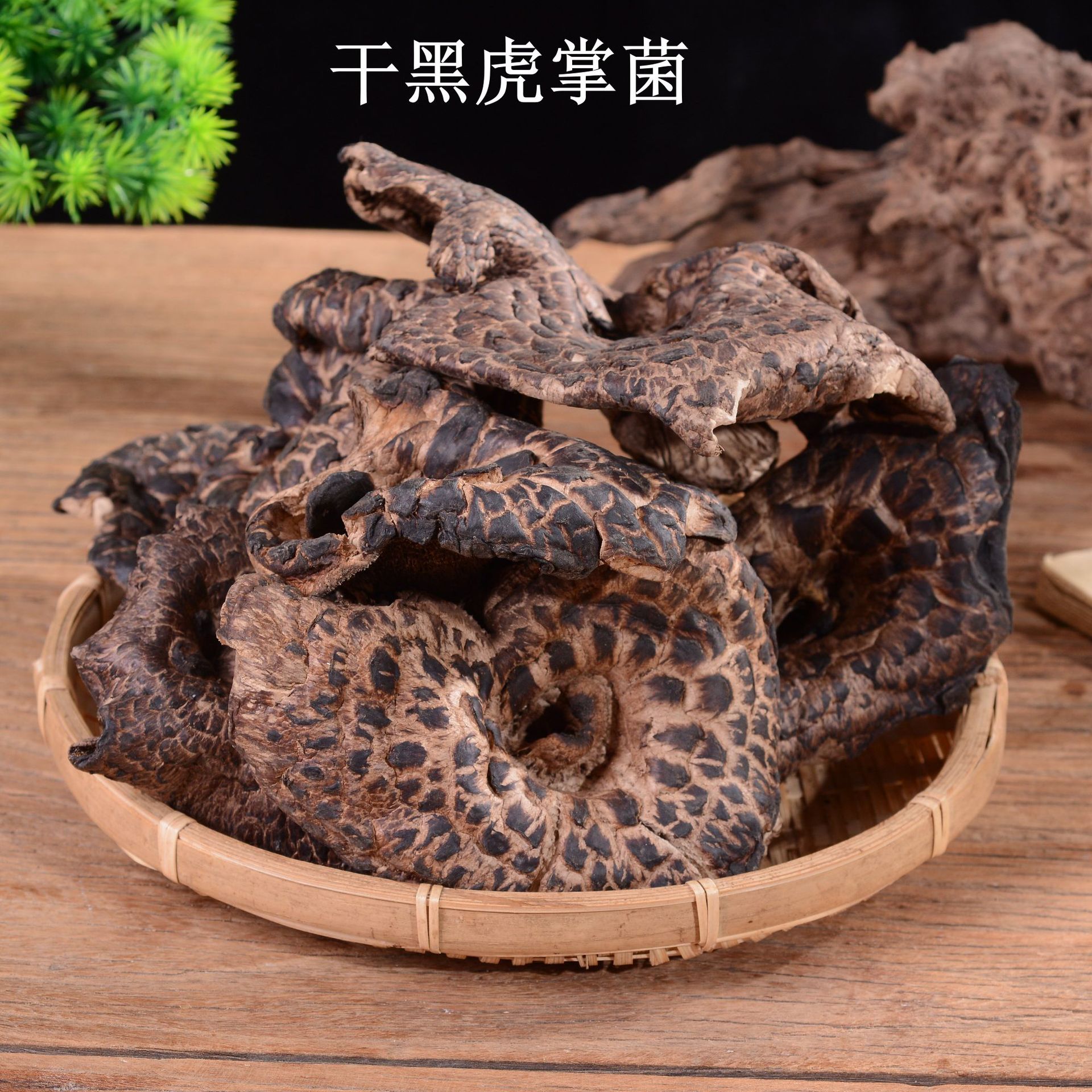 云南特产黑虎掌菌干货500g酒店餐饮商用家用食用菌蘑菇一件代发