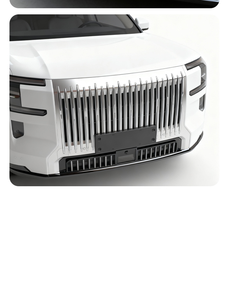 Suitable for 25 Models of Zeekr 9X Insect-Proof Net Front Grille Water Tank Snap-On Protective Cover Insect-Proof Catkin Modification Parts