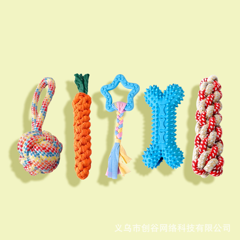 인터랙티브 플레이 5종 세트