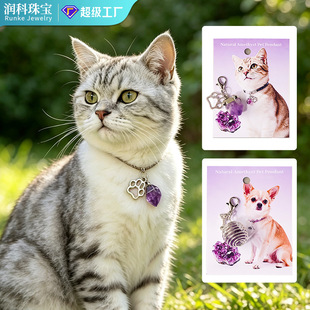 �羳��Ȼ��ˮ�������朵��� �Ͼ����� ؈��С���Ȧ�b�����l