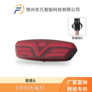 跨境 自行车锂电助力改装配件DR006尾灯匹配电压 48V SM接头