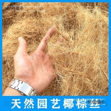 生态批发植物纤维椰棕丝椰丝椰壳纤维跨境麻椰丝ll桂彼棕丝麦太保
