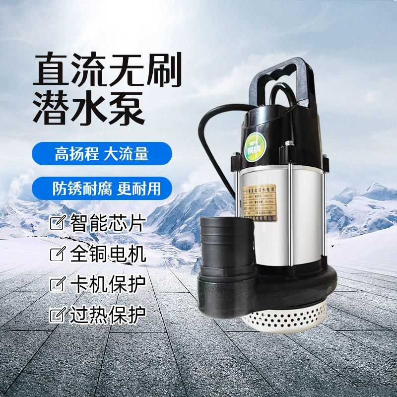 Небольшой Электрический Аккумуляторный автомобильный насос бытовой большой поток Бесщеточный погружной насос постоянного тока оптом
