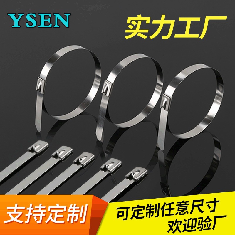 厂家批发201不锈钢扎带4.6~19mm白钢滚珠自锁式金属船用抱箍扎带