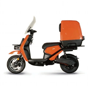 and Electric Scooters, Elektrikli motosikletlər