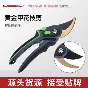 Amazon Floral Scissors Pruning Shear Special Garden Fruit Tree Pruning Shear Labor-saving Shear SK5 Gardening Pruning Scissors