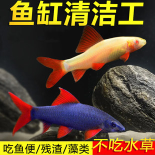 �ʺ����~���^�p�~���w������̦�������S�������~���坍�����~