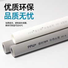 菲时特定制PPR冷热水管白色家装大口径给水管4分6分自来水PPR管材