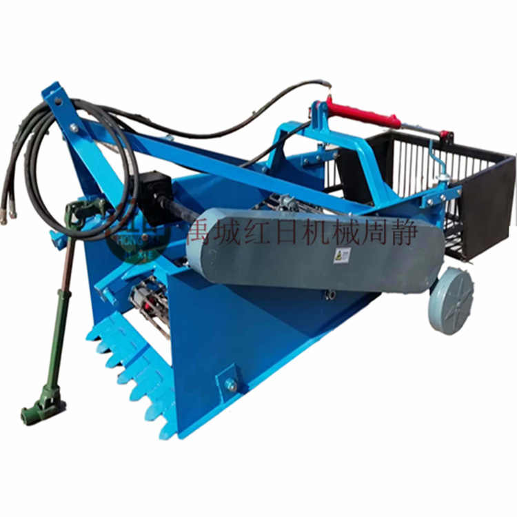 土豆收获机工作视频   红日机械药材洋芋收获机   马铃薯收获机