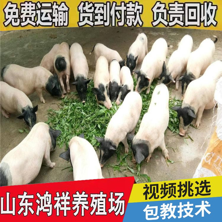 conew_u=3906482891,2698080050&