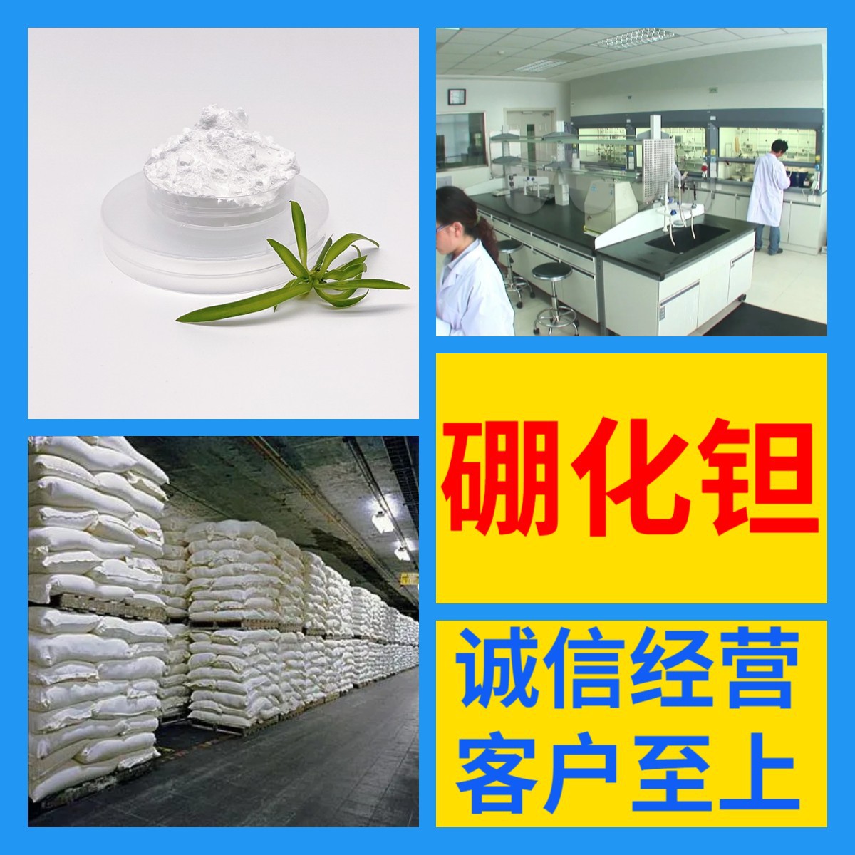 硼化钽 化工大全 现货直供 江苏 含税 浙江 含运费 全国发货 山东