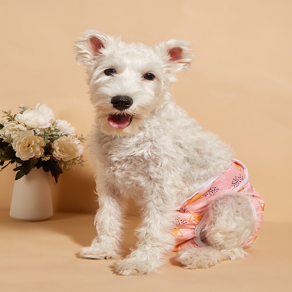 Amazon perro hembra perro fisiológico pantalones pañal pañales menstruales mascotas fisiológicas pantalones fábrica al por mayor image 16