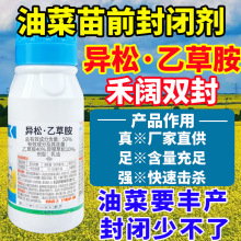 50%�����Ҳݰ��Ͳ���ǰ���]������p������ș���{����ǰ���]