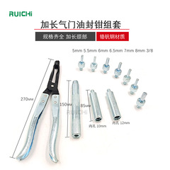 Supply gas door oil seal disassembly set automotive repair tools 11pc oil seal set car oil seal removal pliers