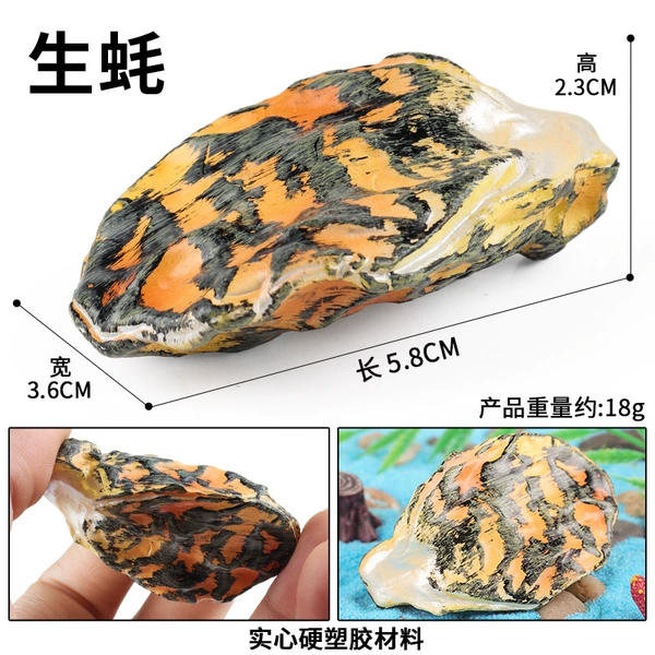 M-3574 Oysters