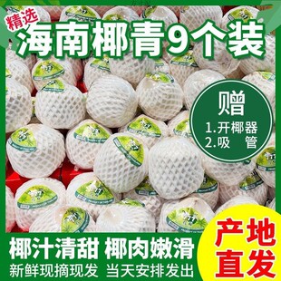 ����Ҭ��Ҭ��ˮ�������خa�Ĳ��Ꭷ2/469�������l