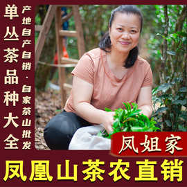 【凤姐家茶】百种香型 鸭屎香蜜兰香凤凰单丛 潮州单枞茶叶乌龙茶
