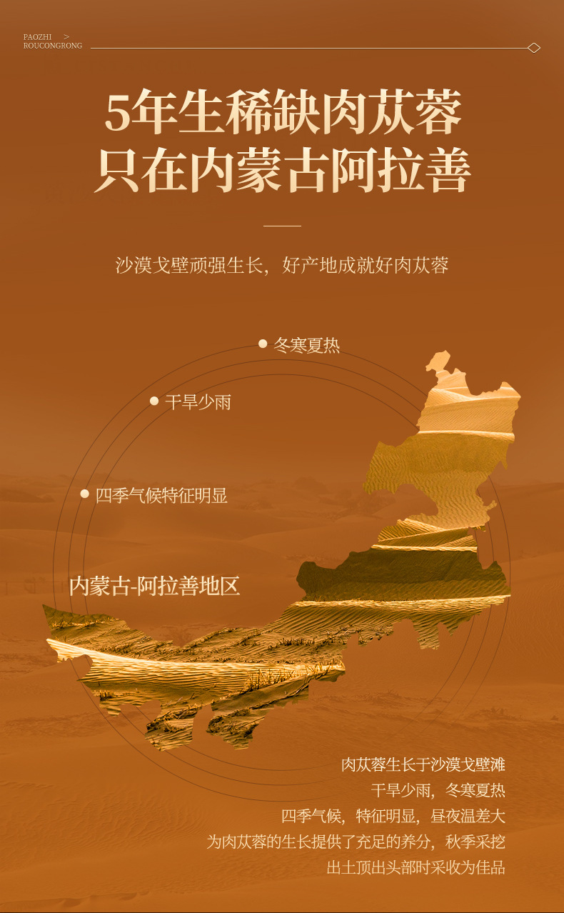 Dried Cistanche Deserticola Slices 250g Chinese Herbal Rou Cong Rong for Tea and Soup quality and texture