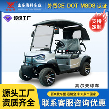 2座高尔夫球场电瓶车酒店摆渡车景区游览车观光高尔夫球车电动车