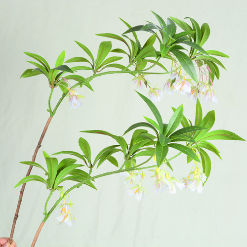 Simulated water stone fig flowers and leaves Nordic green plants small fresh feel plant decoration ornaments wedding photography landscaping fake flowers