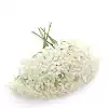 Unique 5-prong Gypsophila pure white