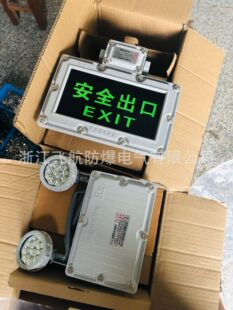 BAJ52 series explosion-proof emergency light, explosion-proof double-headed emergency light emergency time 90 minutes