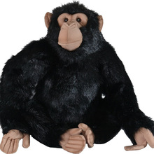 ëq˯Xᱧ탺ͯYйżl