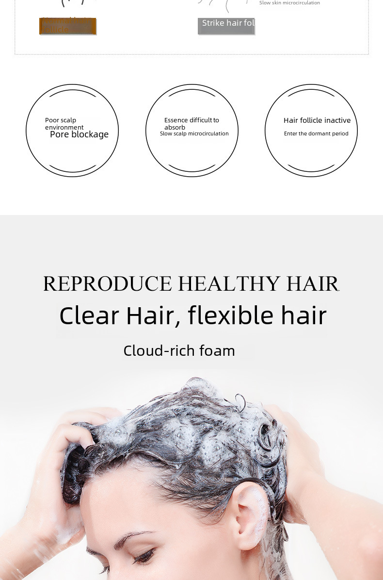Shampoo Image 5
