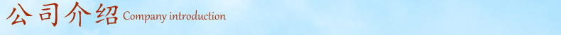 公司介绍标题.jpg