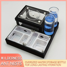 Kit for Adults Interactive Ant Colony with 3D