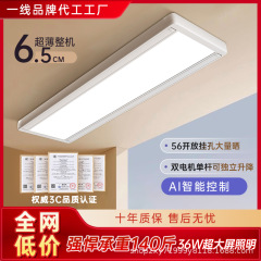 全面大屏智能升降隐形晾衣架阳台伸缩家用双杆内嵌入式电动晾衣架
