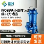 扬程家用大流量丝口污水泵