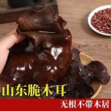 净重脆木耳干货白背特厚大朵加肥加大涮火锅食材商用