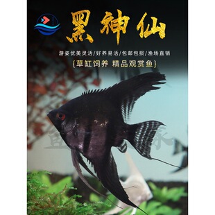 ������ī�����~��Ꭷ�~�^�p�~��؈�ʯ�ڰ׻��w�^�p�~�߲������~