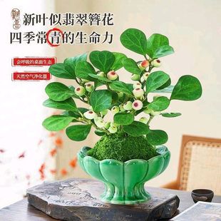 ˮ��ֲ��̦�\������С������lؔ��С�~��骼����t�������΢���^