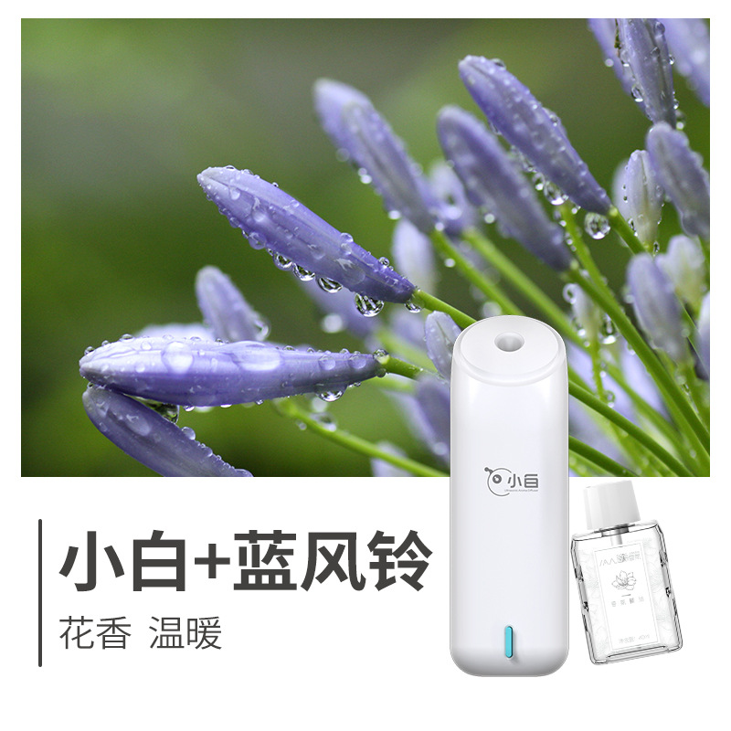 작은 흰색 + 파란색 바람 차임