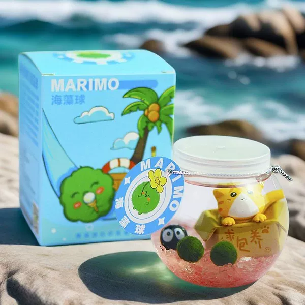 [Cute Algae Planet] Looking for a cat gift box*upgraded version