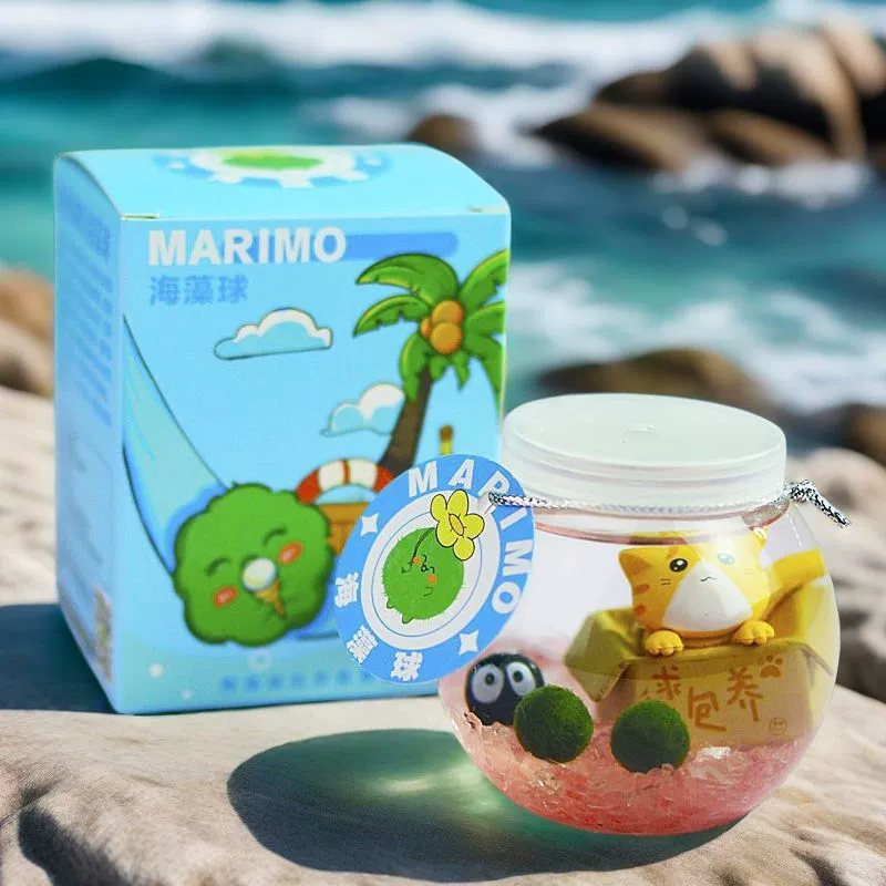 Маримо маленький шарик водоросли экологическая бутылка микрорека настольный гидропонный набор растений подарок полный набор хлореллы питомцев